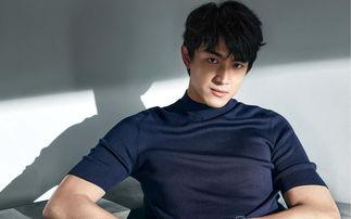 娱乐吃瓜君林更新,娱乐圈的“吃瓜”达人，揭秘明星幕后故事