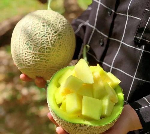 娱乐圈吃瓜内容是什么,明星秘闻大揭秘！