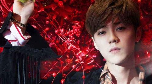 娱乐吃瓜猫鹿晗恋情官宣,娱乐圈新恋情引爆热议