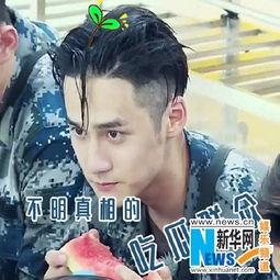 吃瓜娱乐图片头像男,揭秘吃瓜娱乐界男星风采