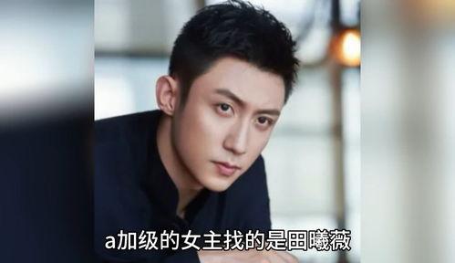 娱乐圈八卦吃瓜爆料小说,揭秘明星背后的秘密与真相