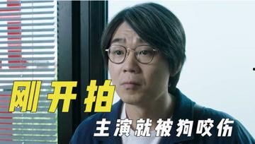 娱乐吃瓜君投票,最受欢迎明星榜单大揭秘！