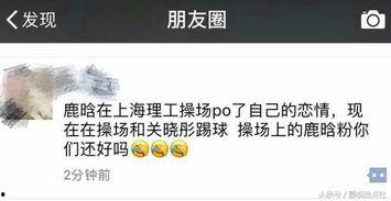 吃瓜娱乐百科百度,揭秘娱乐圈幕后故事与热点事件